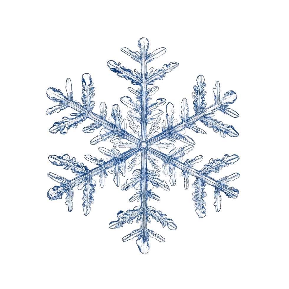 Snowflakes isolated on Transparent background showcasing intricate crystal patterns and unique designs, snowflakes isolated on png