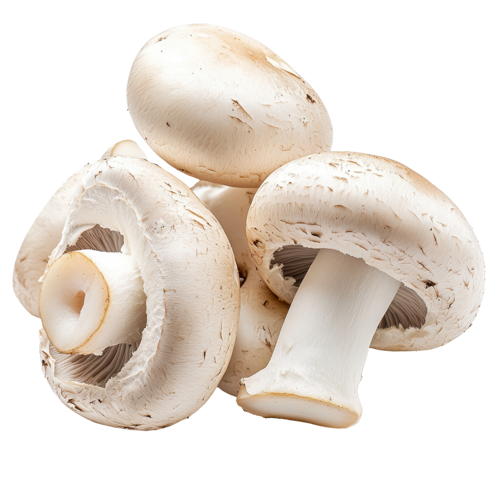 Fresh white button mushrooms on a clean Transparent background ready for cooking or garnishing dishes, White button mushrooms, background png