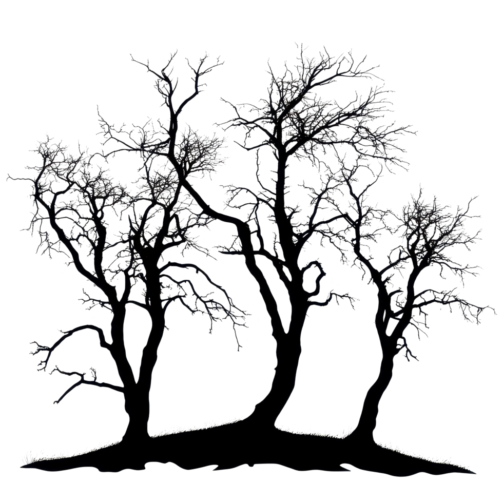 Unique silhouettes of dry trees isolated on a Transparent background creating a striking visual contrast, Silhouette many dry trees isolated on png