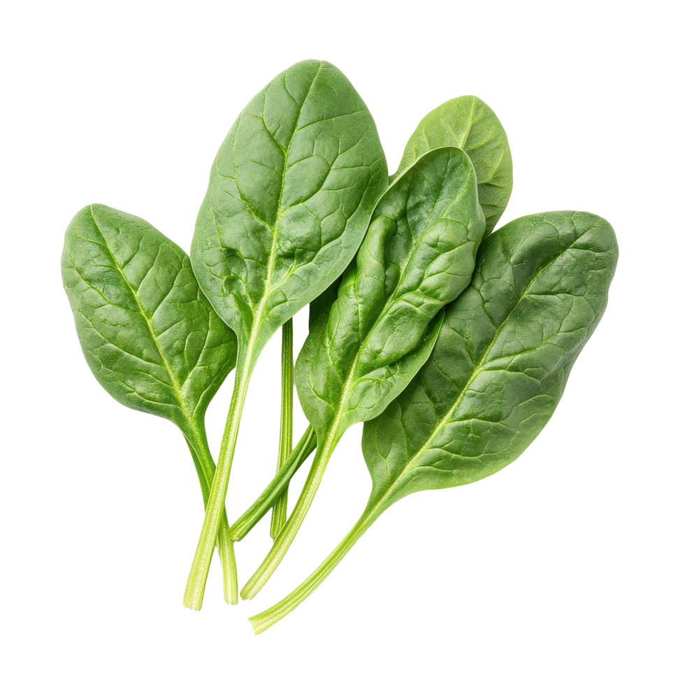 Fresh spinach leaves arranged on a clean Transparent background ideal for healthy lifestyle and cooking, Spinach on background png