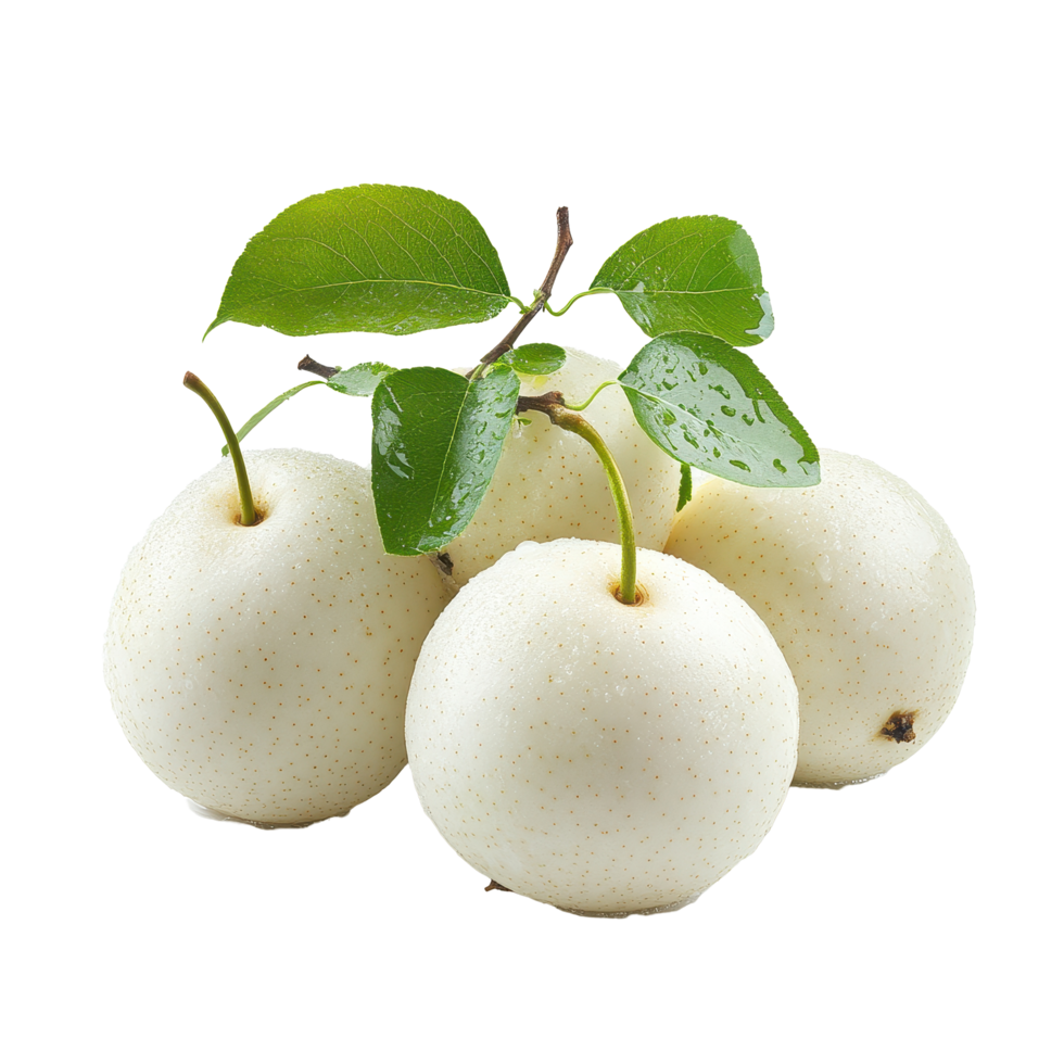Freshly harvested snow pears with green leaves on a Transparent background, Snow pear isolated on background png