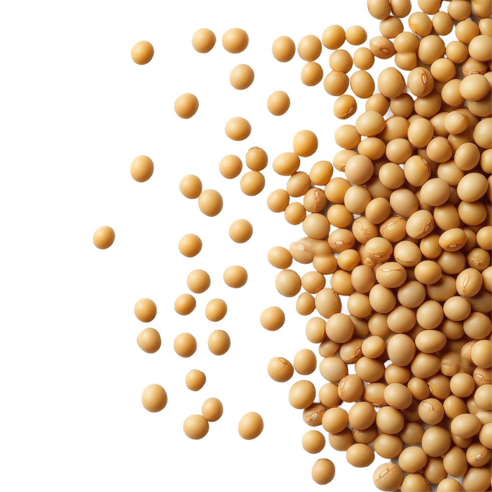 Soybean seeds isolated on a transparent background showcasing their smooth, round texture and golden color, Soy beans seeds isolated on trransparent png