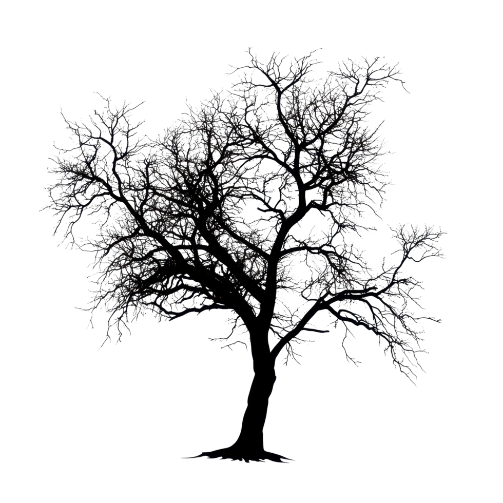 Silhouette of an isolated tree with intricate branches standing against a Transparent background, Image tree silhouette isolated on background png