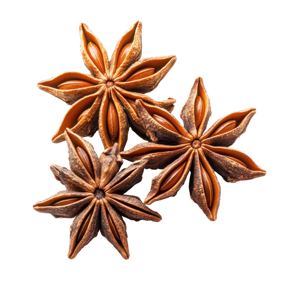 Star anise spice fruits and seeds arranged together on a Transparent background, Star anise spice fruits and seeds isolated on png