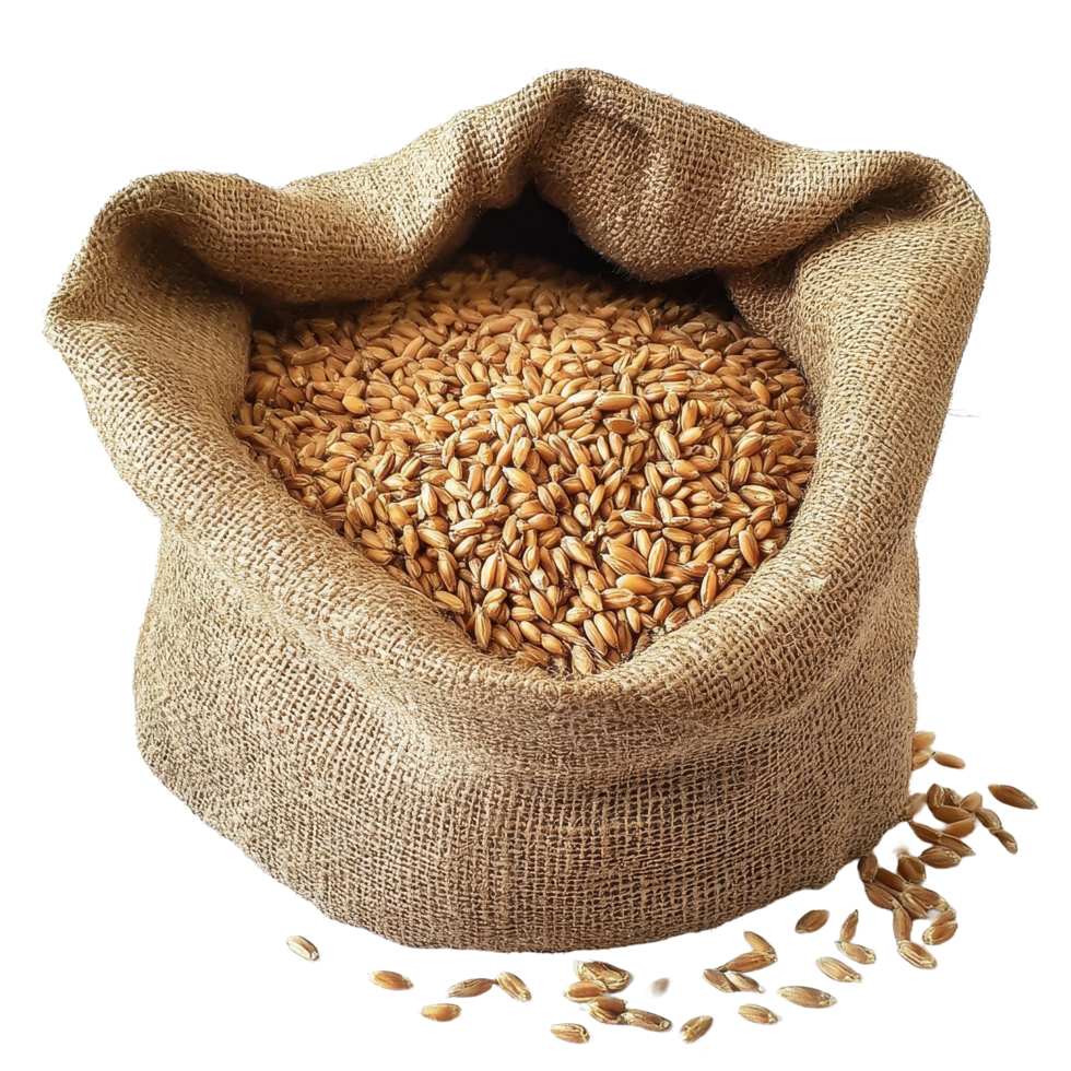 Wheat grain and bran sack filled with fresh grains ready for processing and distribution, Wheat Grain and Bran Sack png