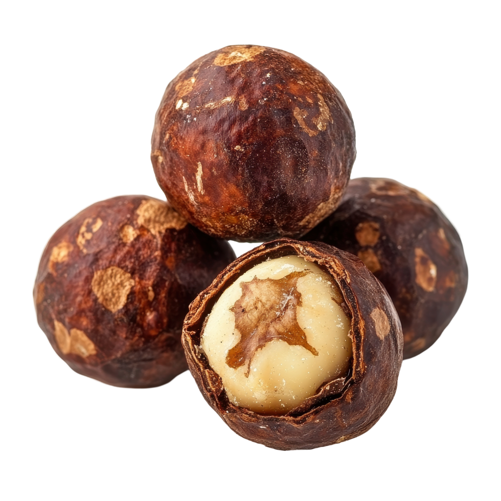 Soap nuts isolated on a Transparent background showcasing their natural texture and color, Soap nut isolated on background png