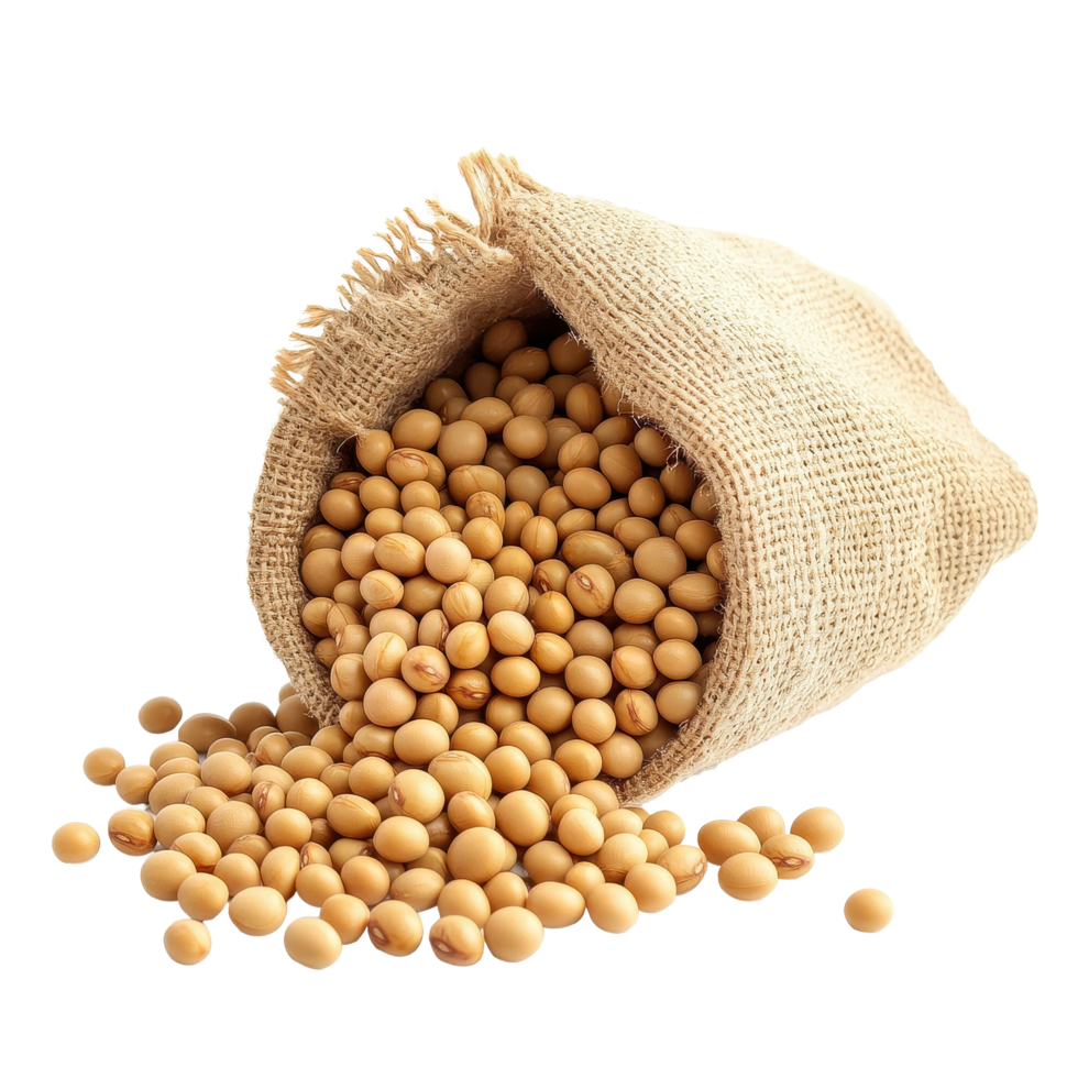 Soybeans spilling from a burlap sack on a bright Transparent background for culinary use, Soy beans isolated on background png