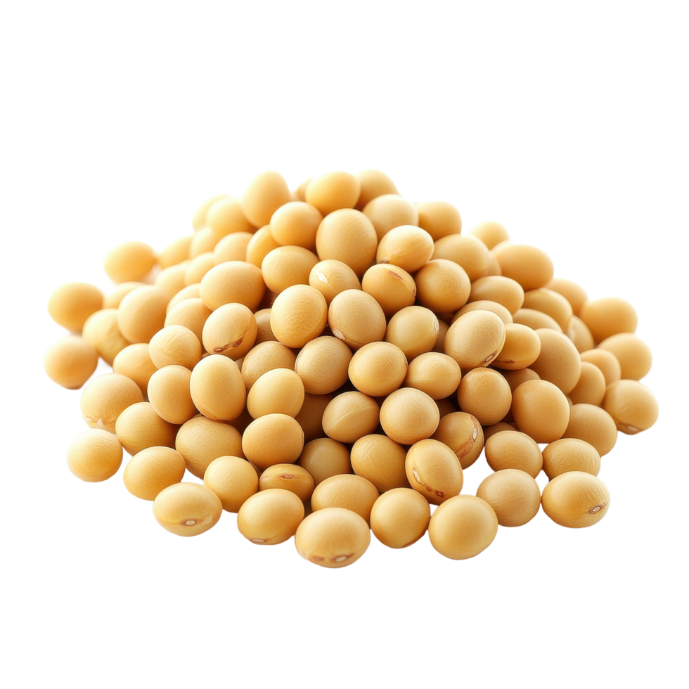 Soy bean seeds isolated on Transparent background for nutrition and agricultural purposes, Soy beans seeds isolated on background png