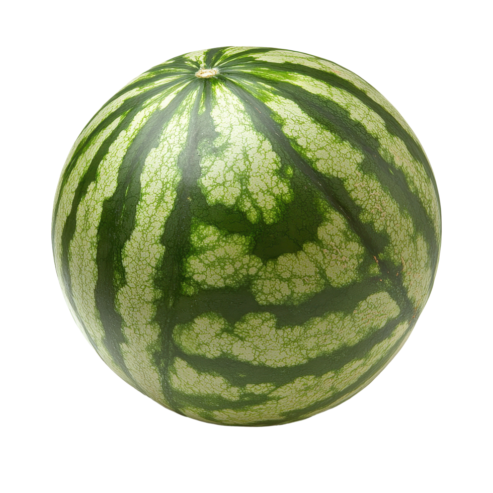 Fresh watermelon isolated on a Transparent background showcasing its green exterior and striped pattern, water melonisolated on background png