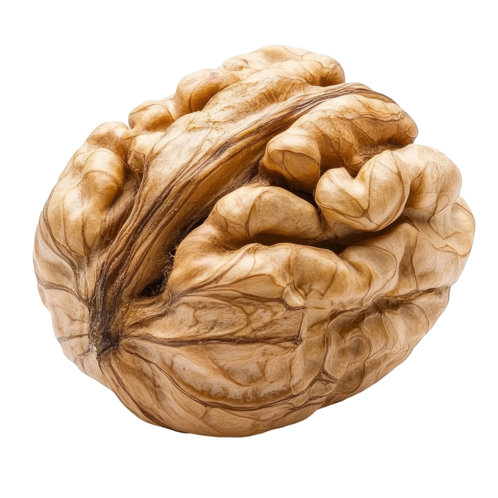 Walnut isolated on a Transparent background showcasing its intricate shell and texture, Walnut isolated on png