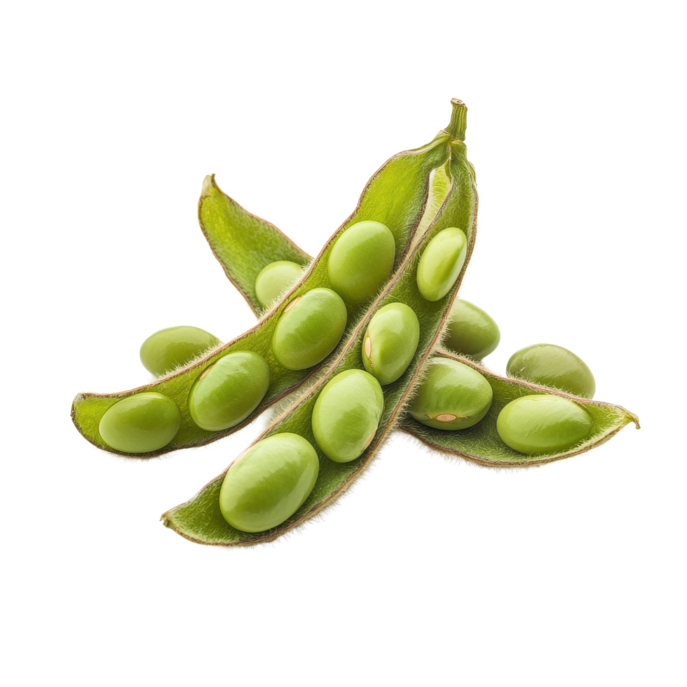 Fresh green soybeans in pods isolated against a Transparent background showcasing natural beauty and nutrition, soybeansisolated on background png