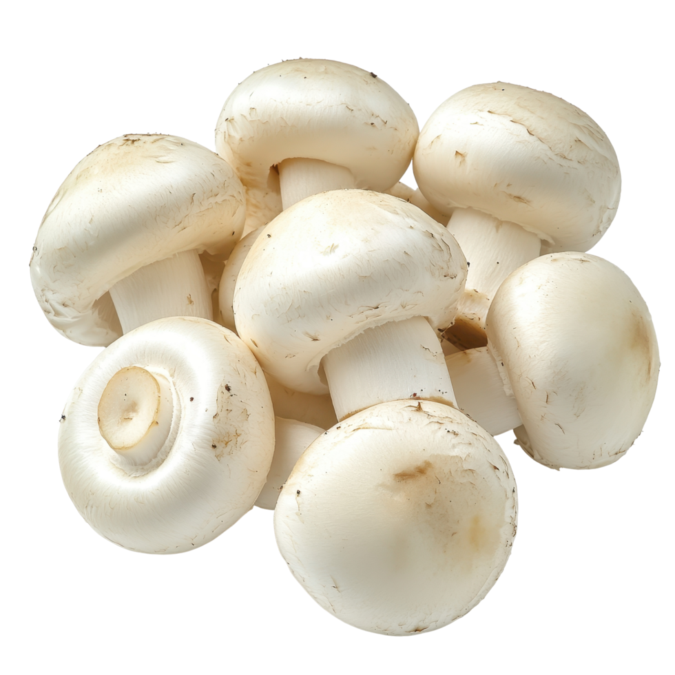 Fresh white button mushrooms arranged neatly on a clean Transparent background for culinary presentation and recipe use, White button mushrooms, background png