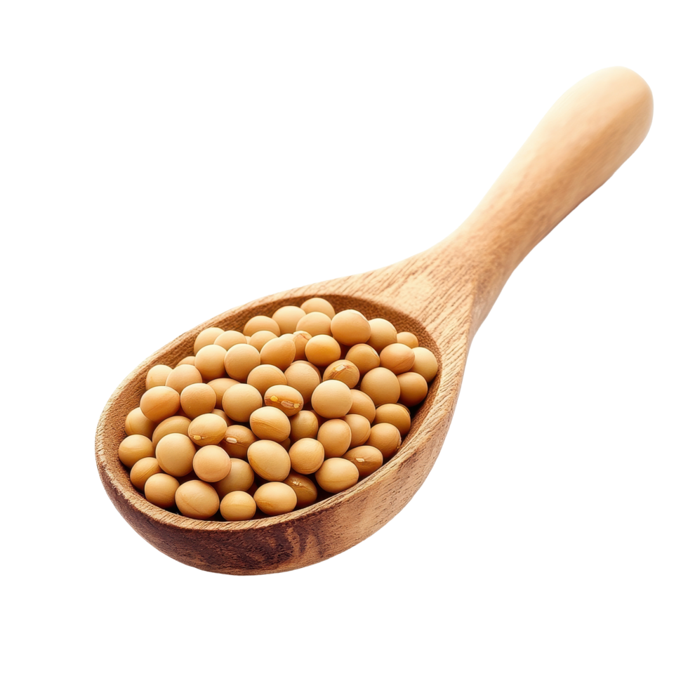 Soy beans in a wooden spoon on a Transparent background showcasing natural food ingredients, Soy beans in wood spoon isolated on background png