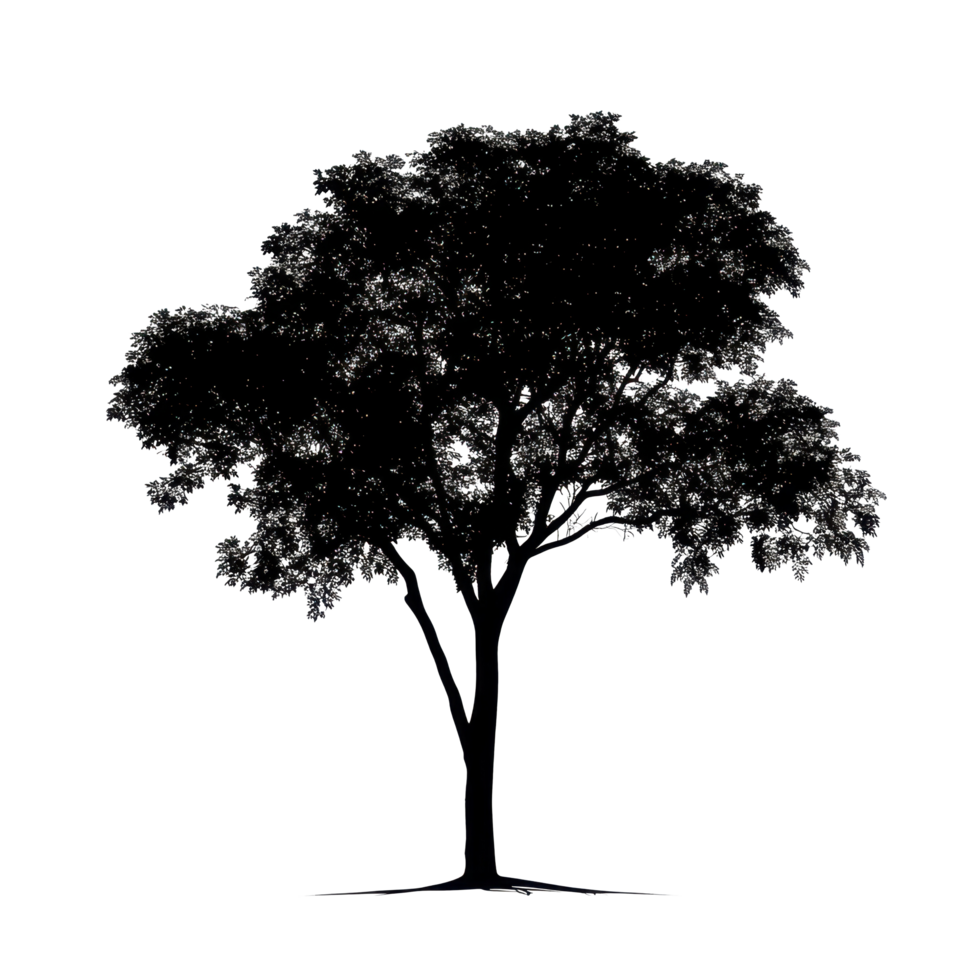 Silhouette of an isolated tree on Transparent background highlighting natural form and beauty in minimalistic design, Image tree silhouette isolated on background png