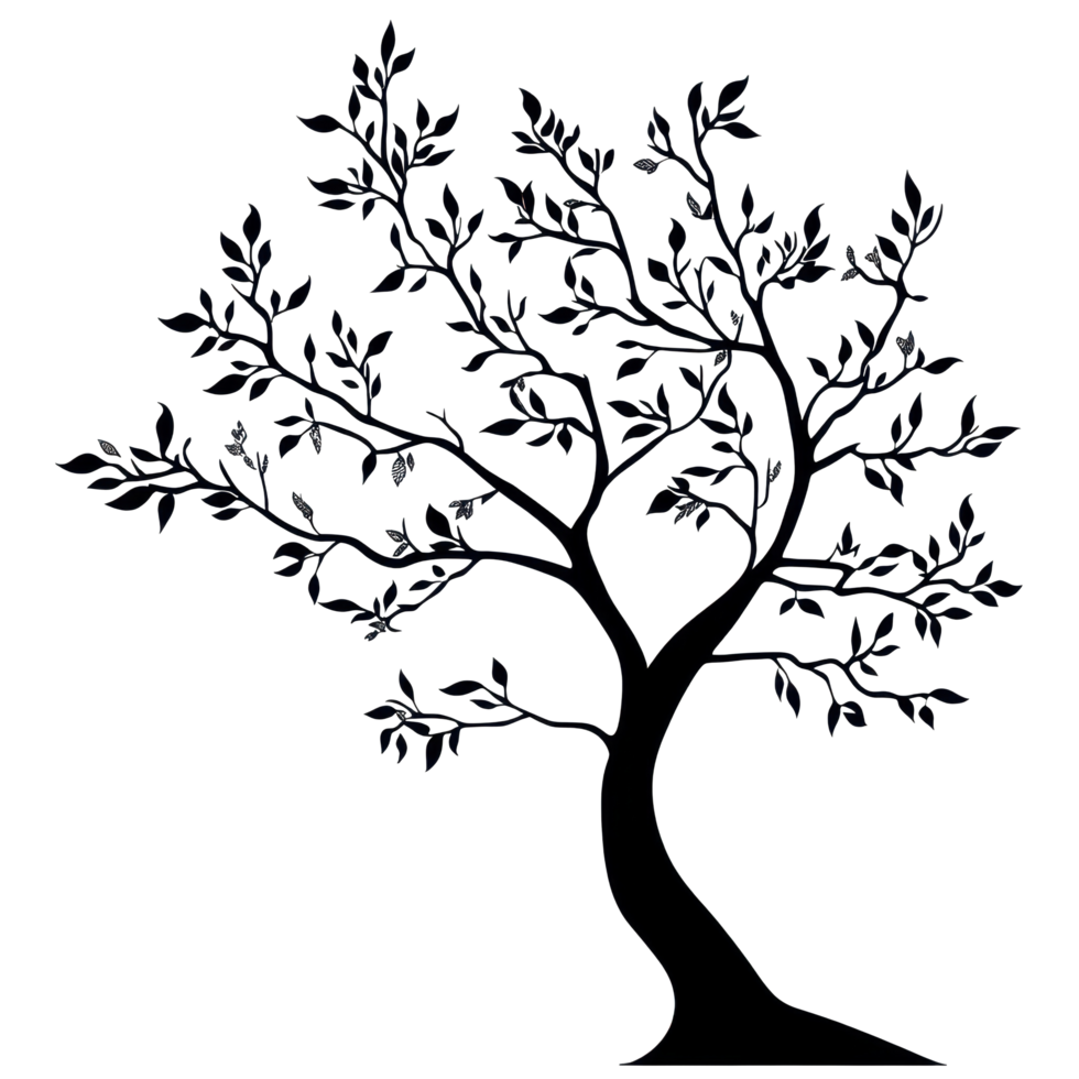 Silhouette of a large tree with branches and leaves against a plain background, Photo branches with leaves a large tree isolated on a Transparent background png