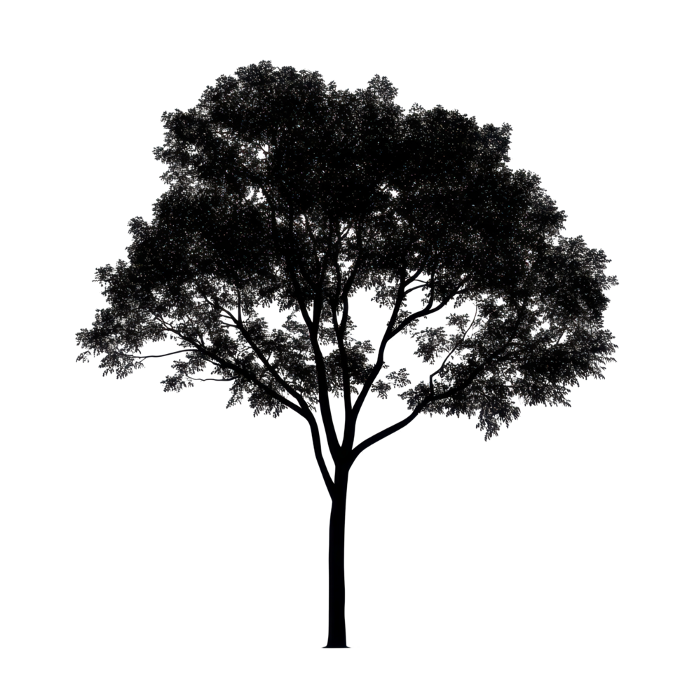 Silhouette of an isolated tree standing out against a Transparent background with detailed branches and leaves, Image tree silhouette isolated on background png
