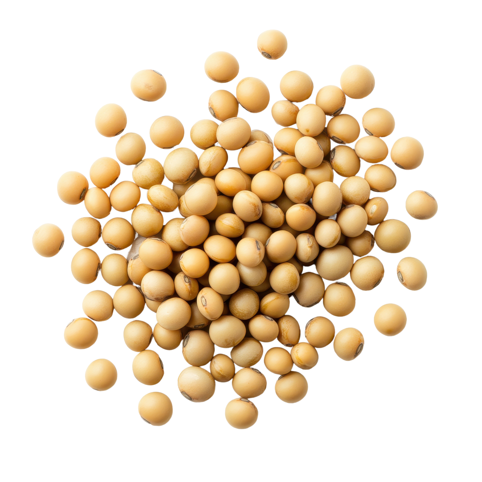 Soybean seeds spread on a plain Transparent background showcasing their smooth texture and distinct shape, Soybeans seeds on background png