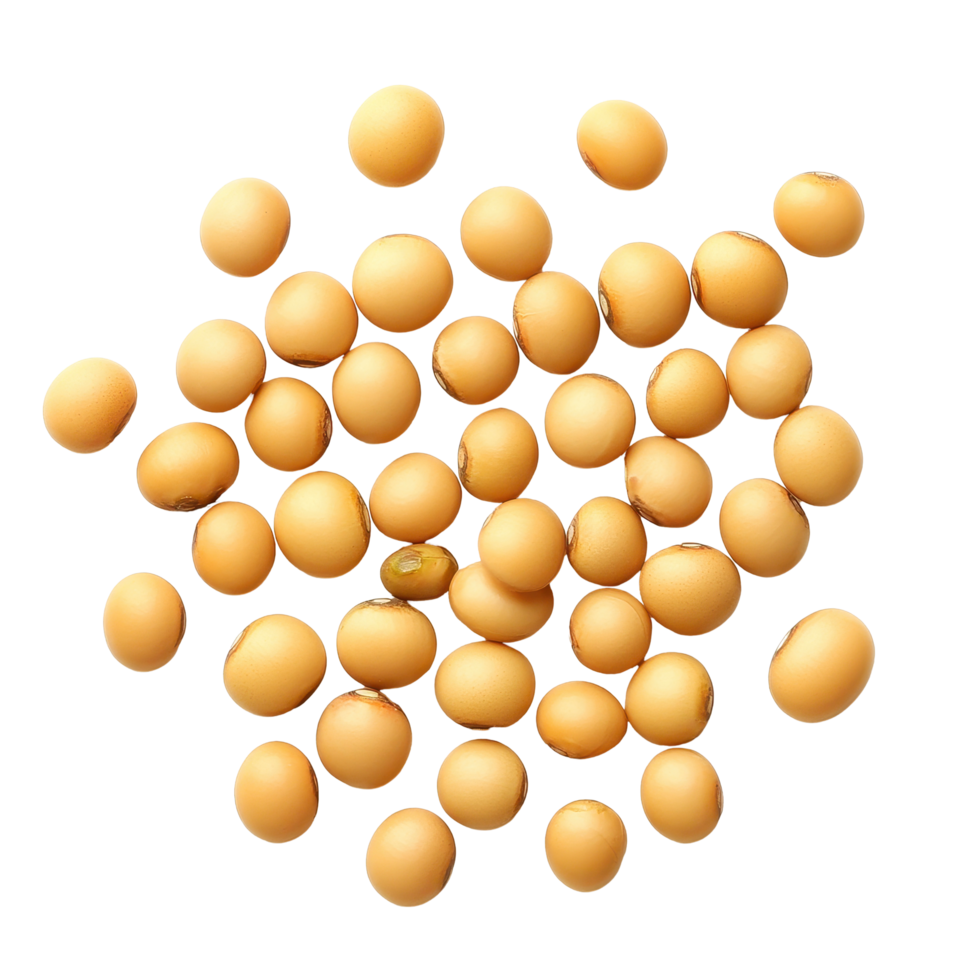 Soybean seeds isolated on a Transparent background showcasing their smooth texture and natural color variation, Soybeans seeds isolated on background png