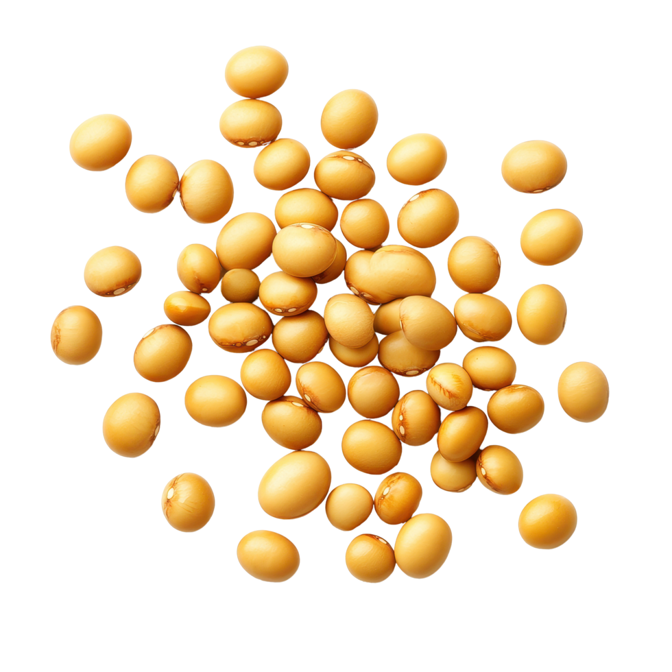Soybeans scattered on a clean Transparent background highlighting their smooth texture and rich color, Soybeans on background png