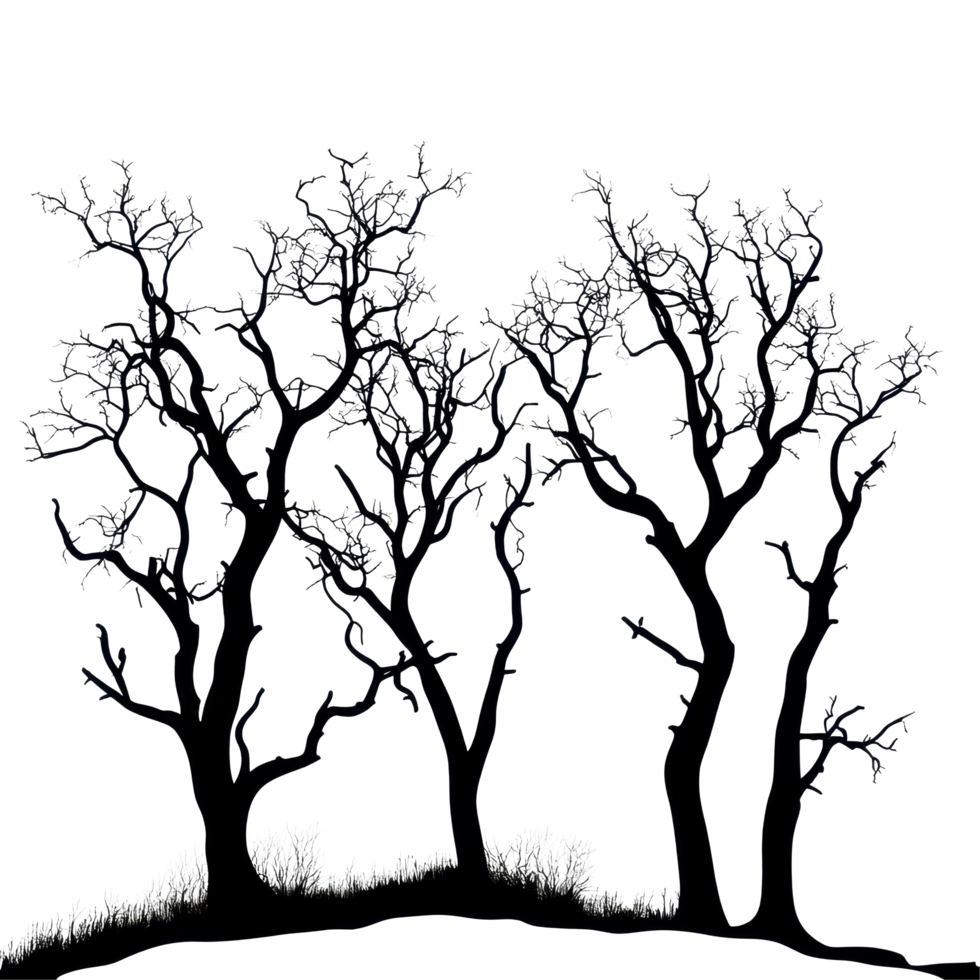 Silhouetted dry trees standing tall against a Transparent background creating a stark contrast in shape and form, Silhouette many dry trees isolated on png