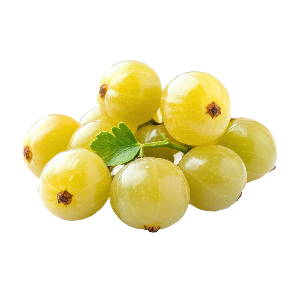 Star Gooseberry bunch showcases fresh fruit in natural light on a simple background, Star Gooseberry bunch Phyllanthus acidus fruit isolated on Transparent background png