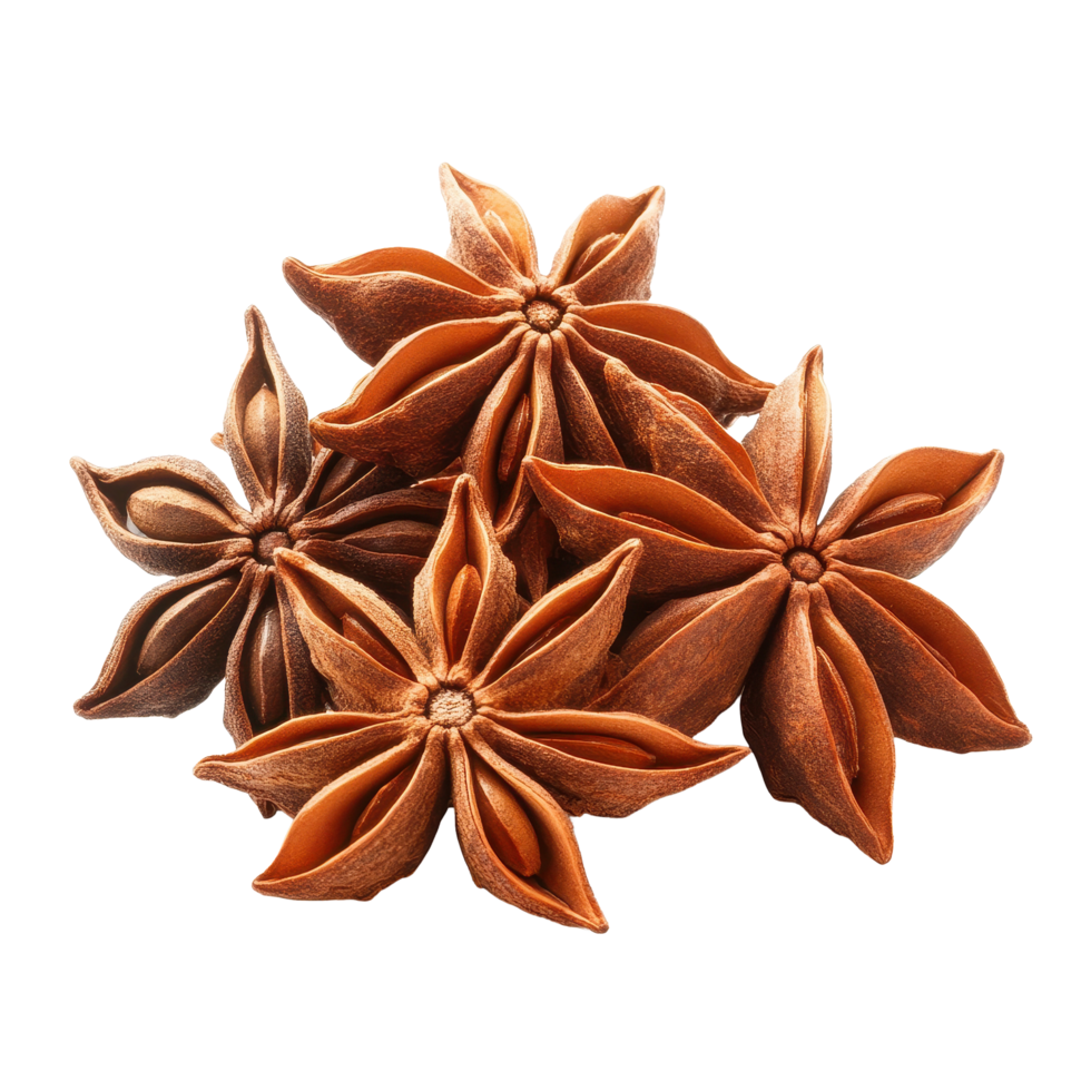 Star anise spice fruits and seeds displaying unique star-shaped structure on Transparent background, Star anise spice fruits and seeds isolated on png