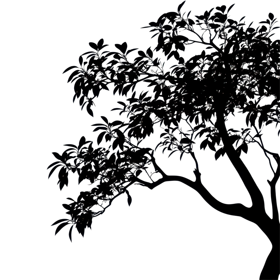 Silhouette of a large tree with leaves showcasing intricate branch details against a plain background, Photo branches with leaves a large tree isolated on a Transparent background png