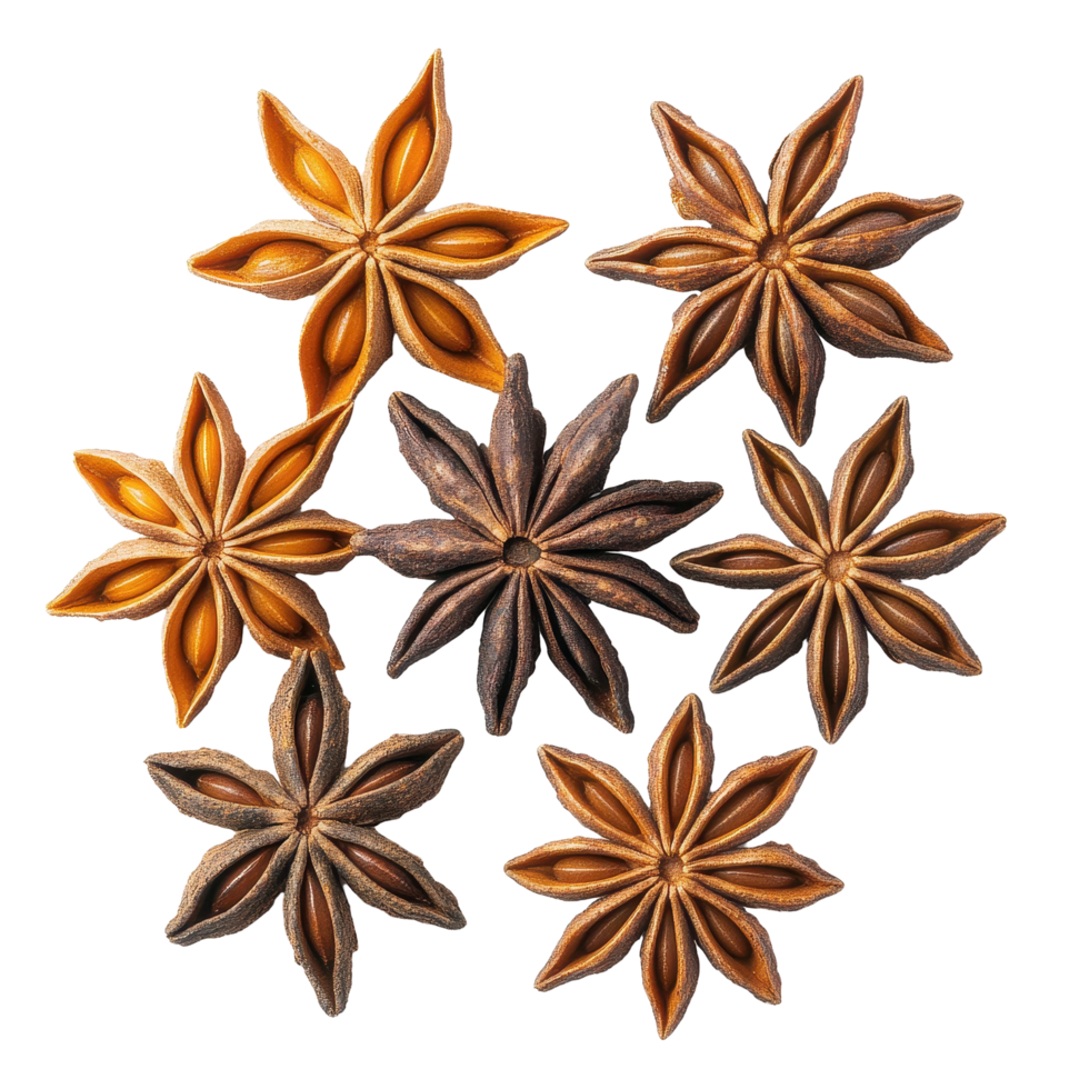 Star anise spice fruits and seeds arranged stylishly on a Transparent background, Star anise spice fruits and seeds isolated on png
