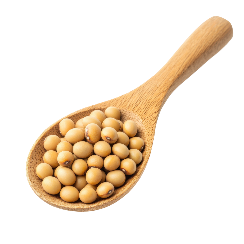 Soybeans in wooden spoon on Transparent background showcasing healthy ingredient for cooking, Soybeans in wood spoon isolated on background png