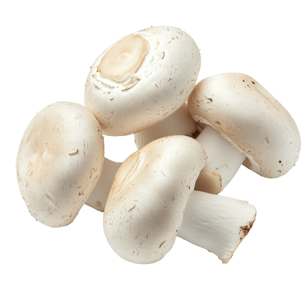 Fresh white button mushrooms arranged on a Transparent background for culinary use and presentation, White button mushrooms, background png