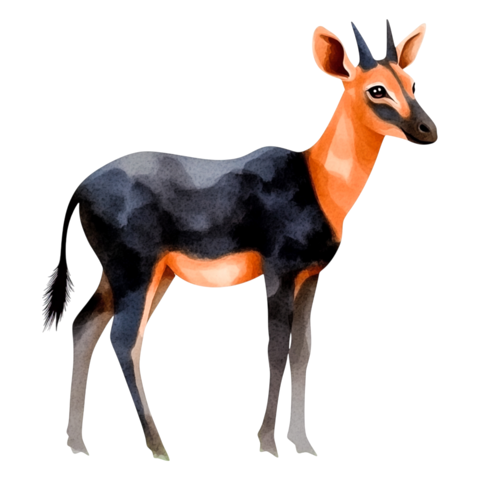 Elegant African Antelope Watercolor Illustration of Black Antelope png