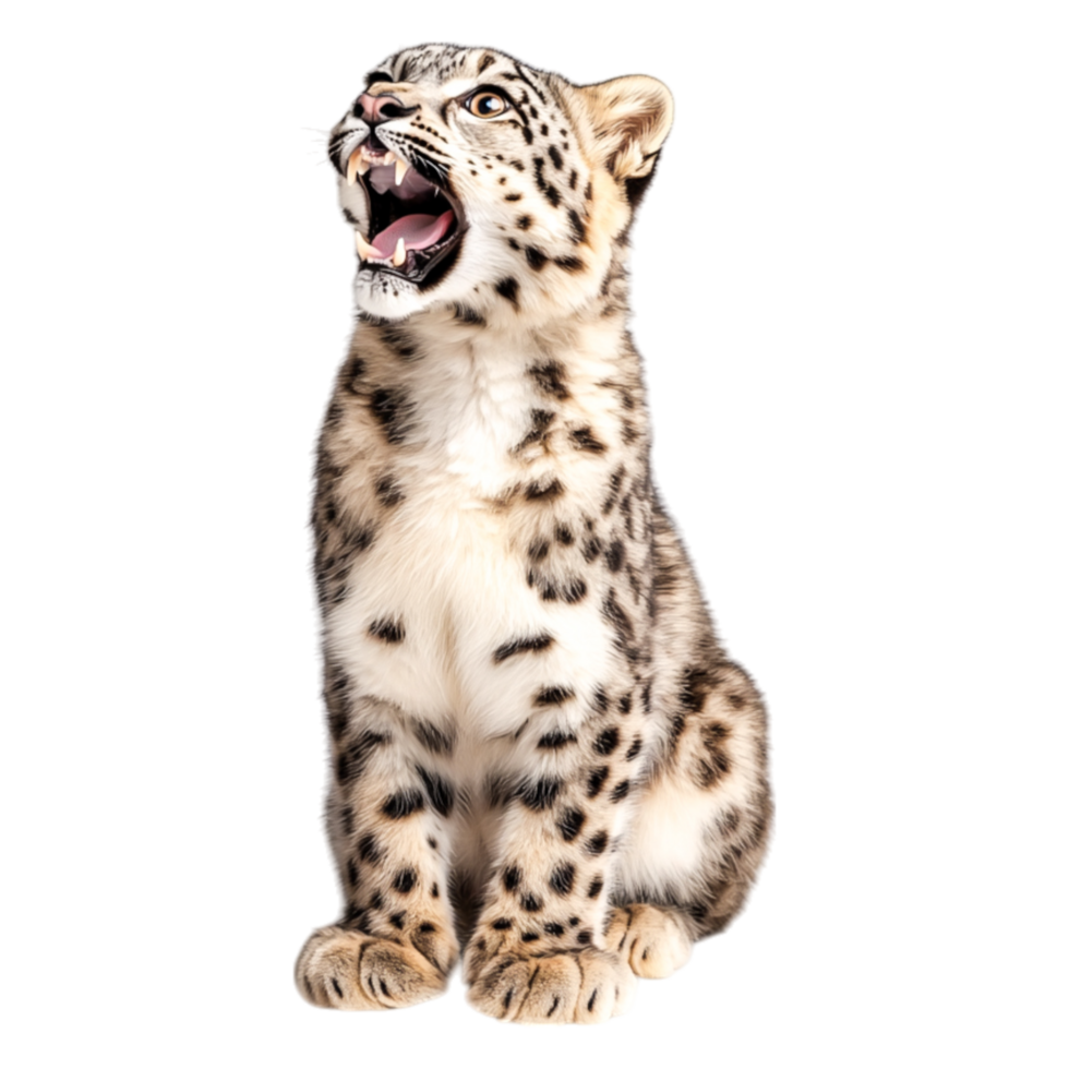 Majestic Big Cat in Roaring Pose with Striking Features png