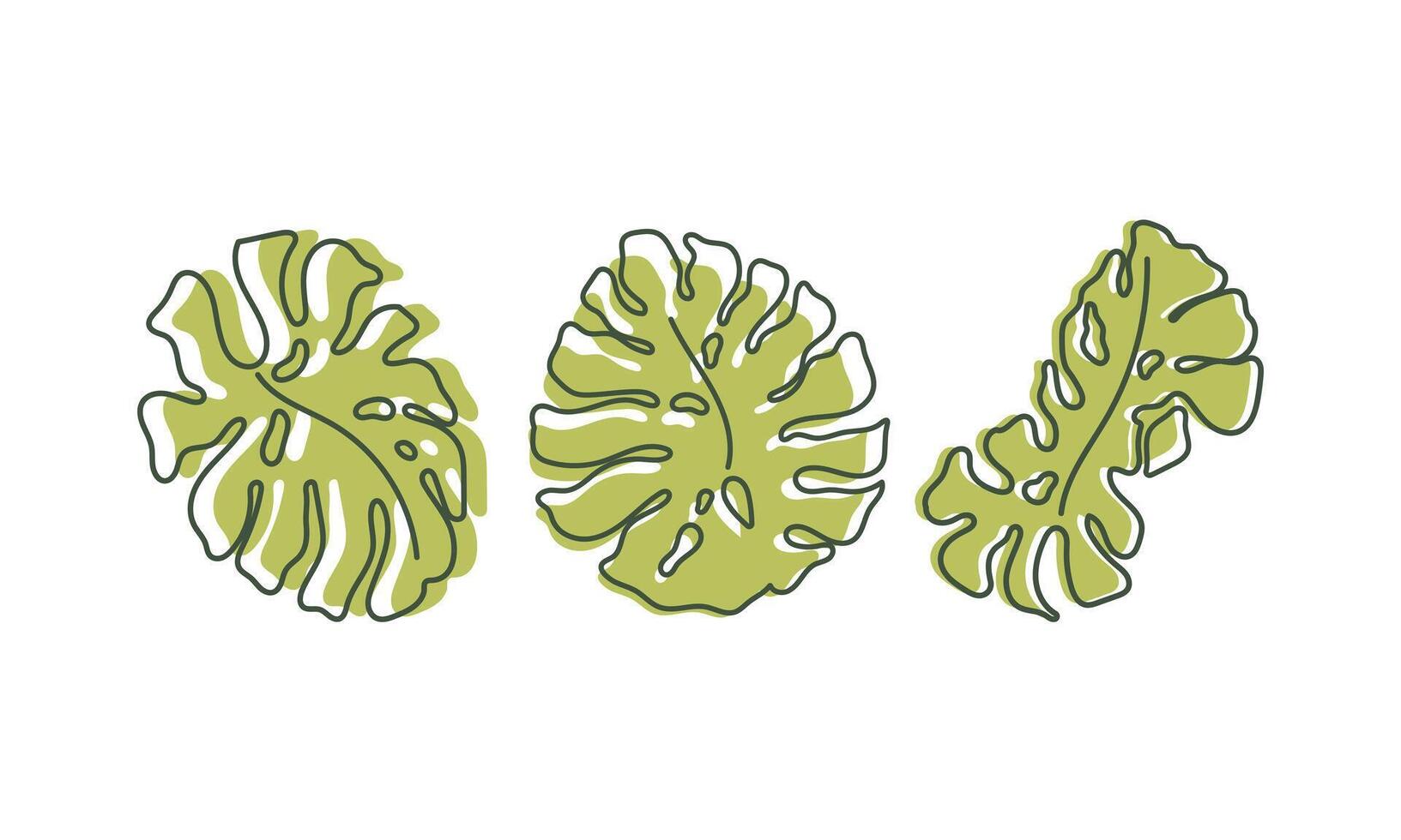 Monstera hand drawn leaf set. Tropical modern silhouette. Summer design vector