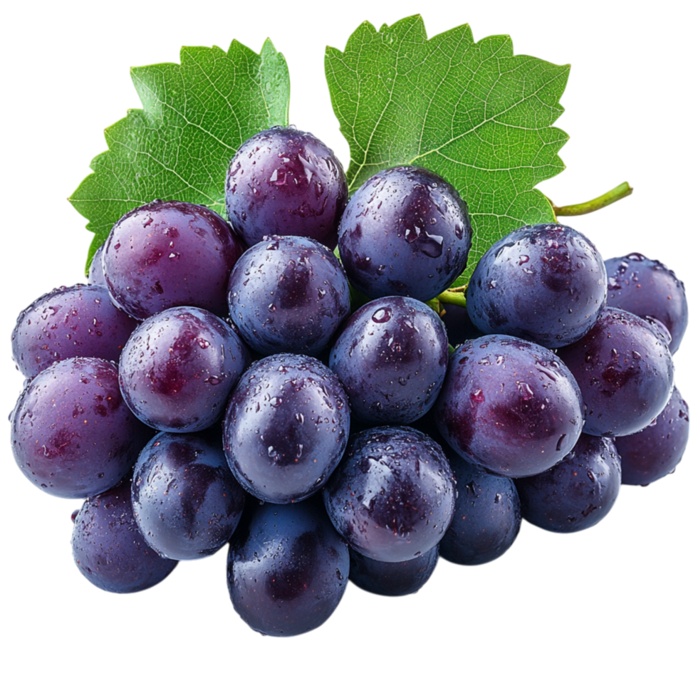 Juicy bunch of deep purple grapes with green leaves symbolizing abundance and the natural sweetness of vineripened fruit png