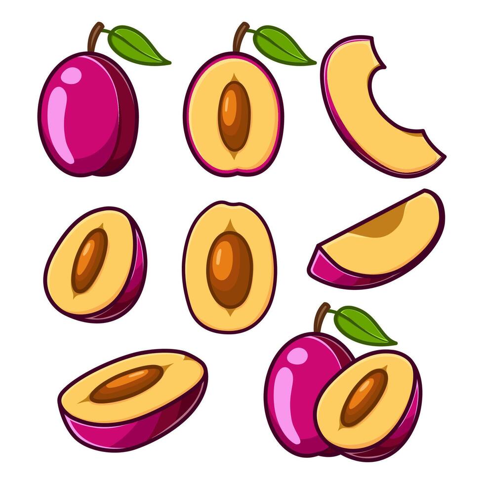 Several victoria plum in different positions, along with some cut into various pieces. vector