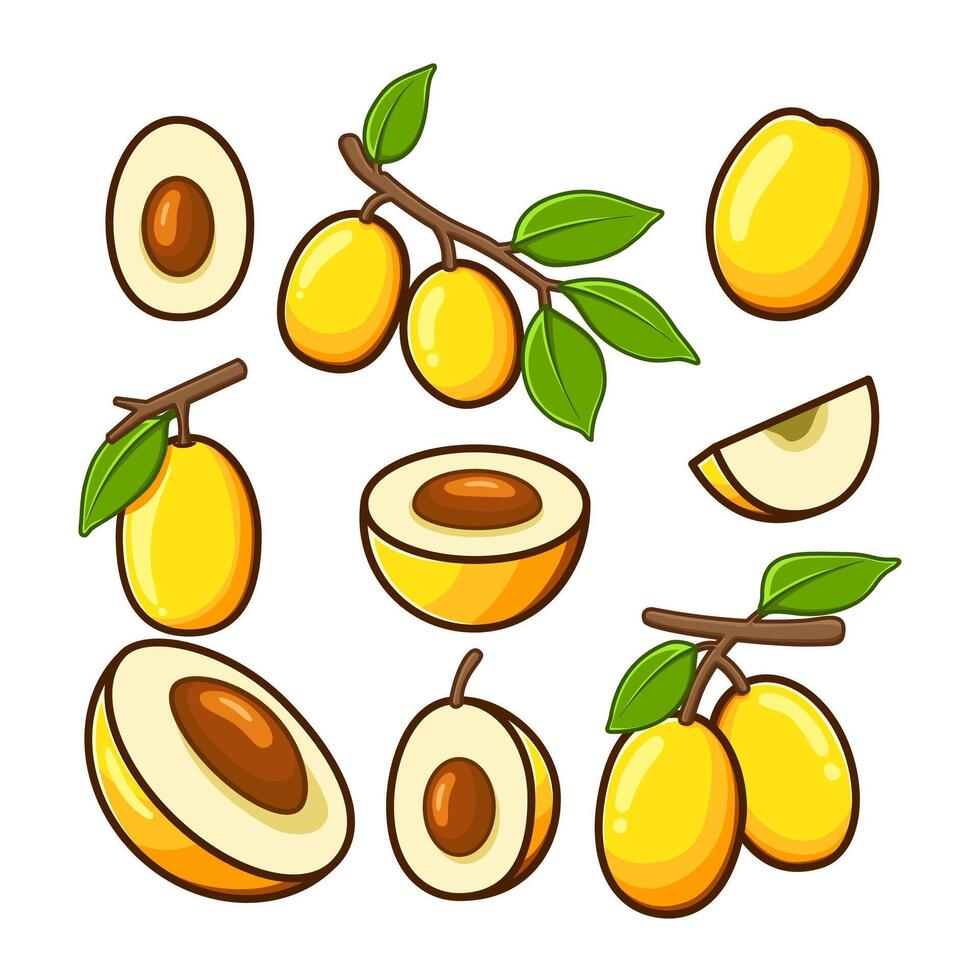 a variety of ximenias cut into shapes and arranged in different positions vector