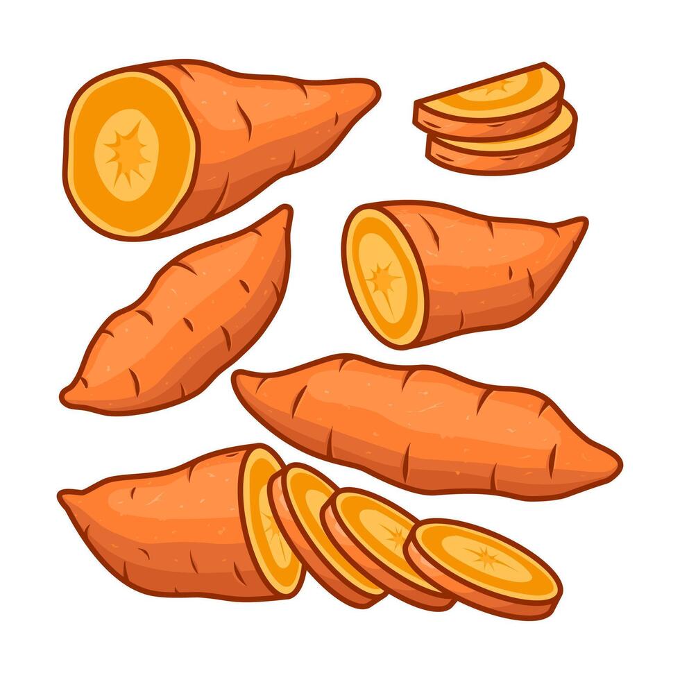 Several yam in different positions, along with some cut into various pieces. vector