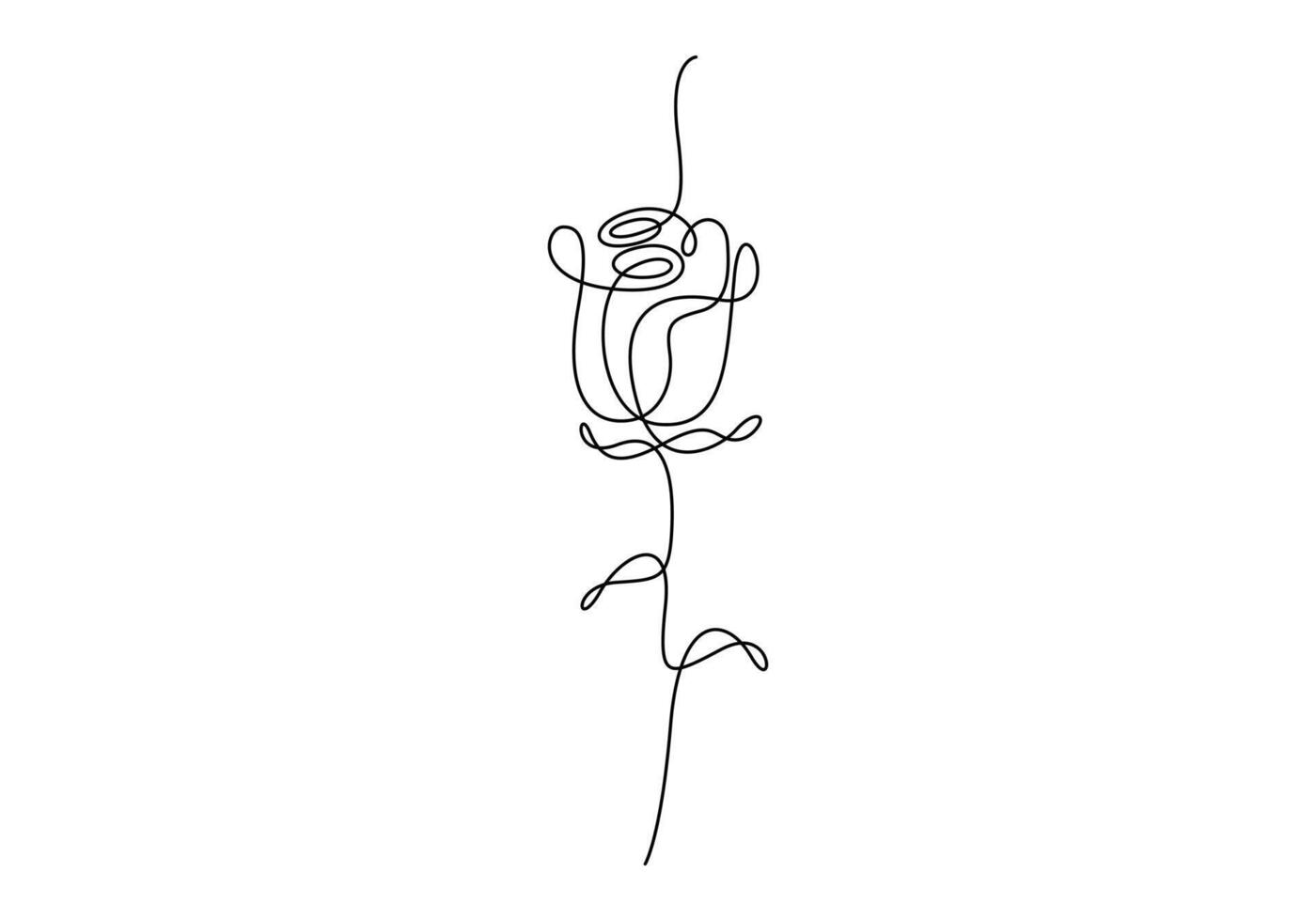 Rose flower continuous single line drawing graphic illustration vector