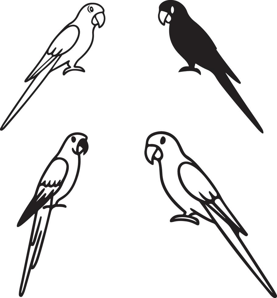 parrot line art icon image vector