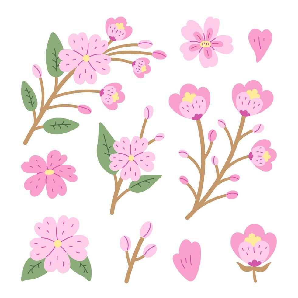 Cherry Blossom Flowers Petals Branches Set vector