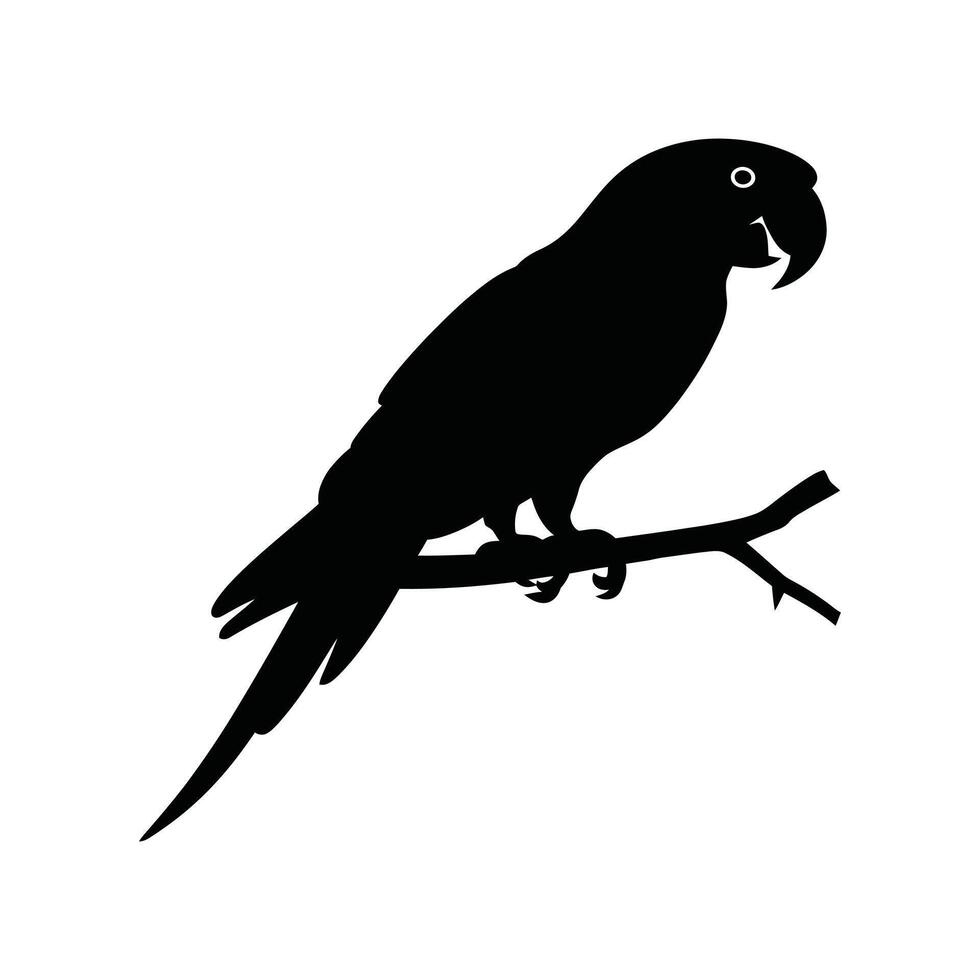 Minimalist Parrot Silhouette Perched on Tree Branch Black and White Graphic Art with Curved Beak and Long Tail Feathers in Simple Illustration vector