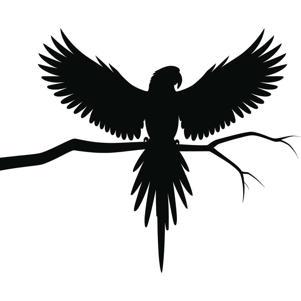 A black and white silhouette of a parrot on a branch vector