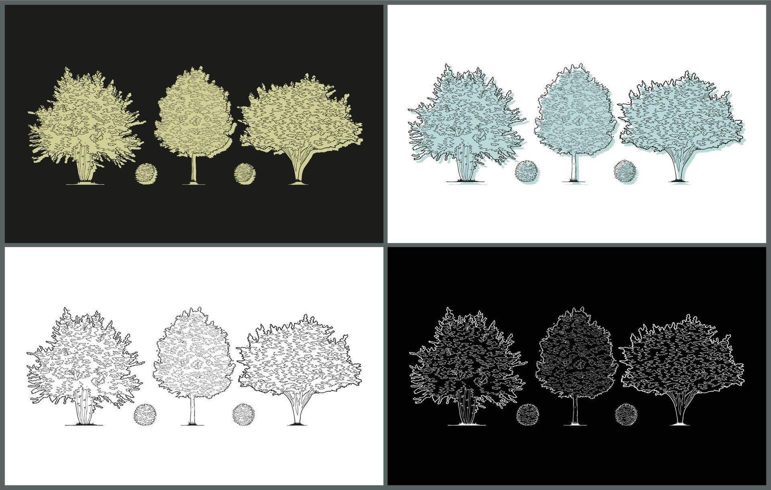 Line Drawing Plant Trees Illustrations set vector