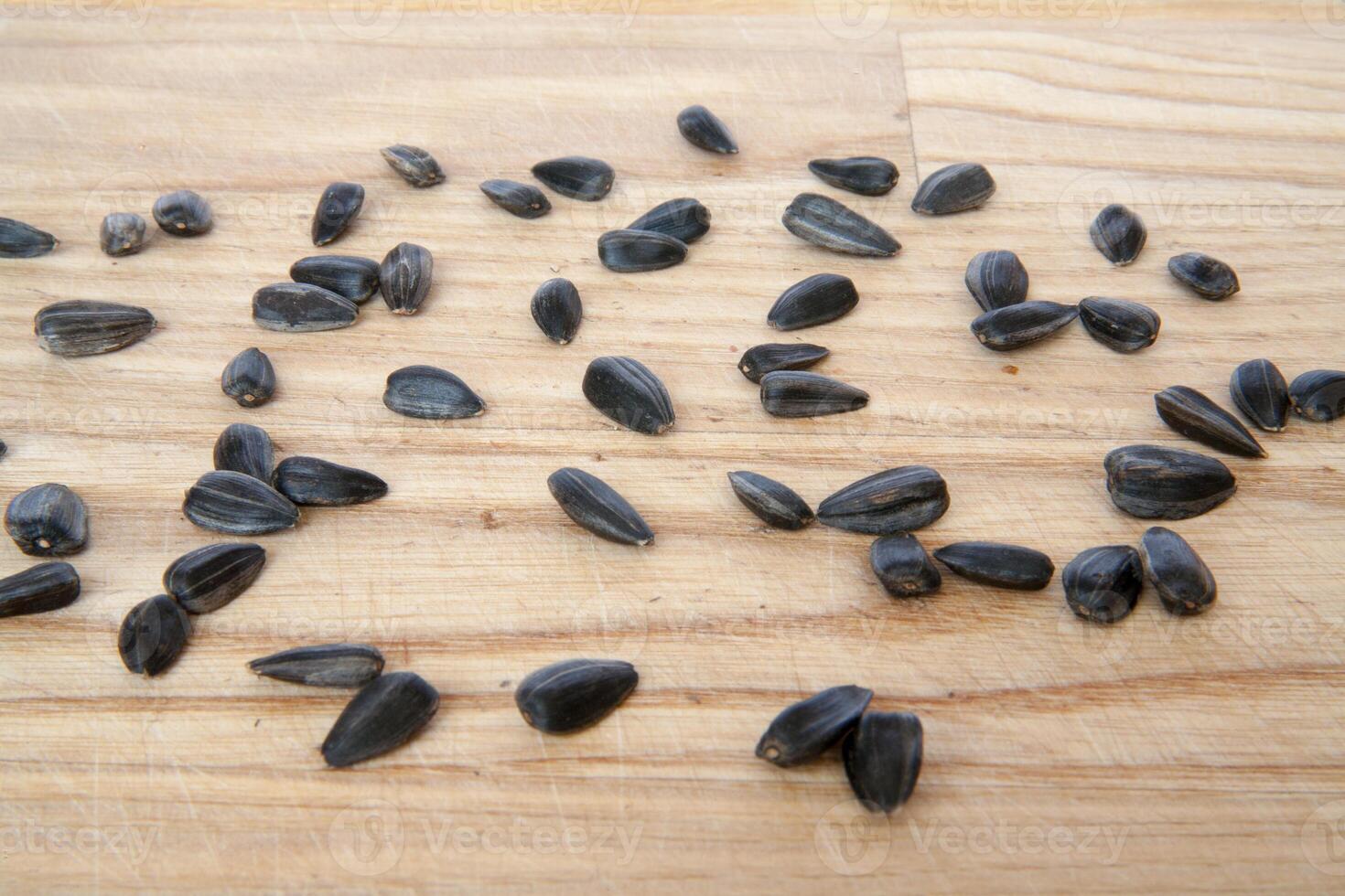 sunflower seeds isolated. seed. photo