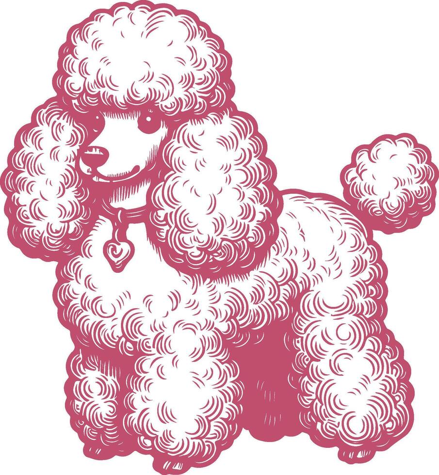 Elegant Vintage Full-Body Poodle Engraving Illustration Hand Drawn Dog Art vector