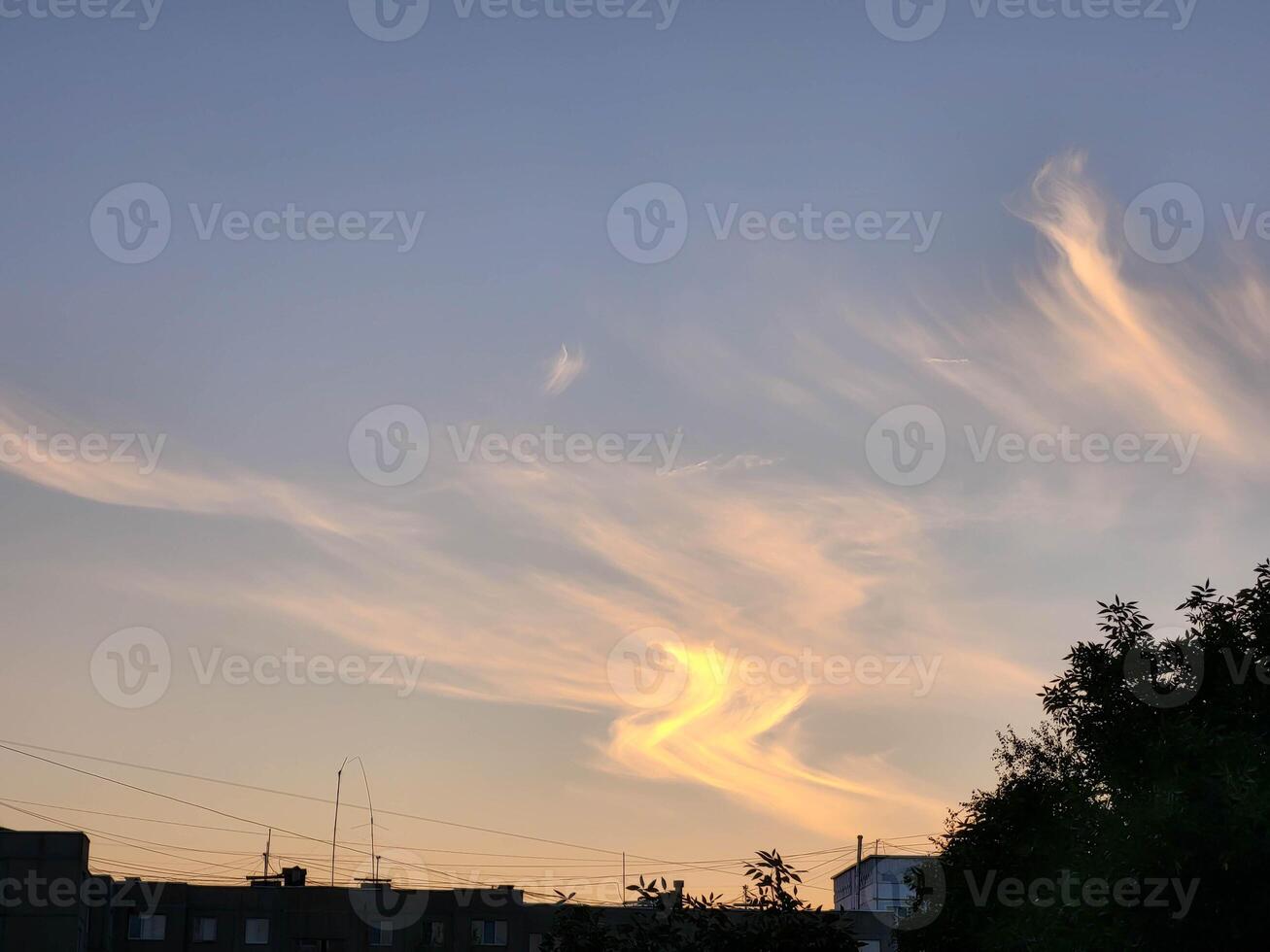 Feathery pink clouds spread out against the sunset sky photo