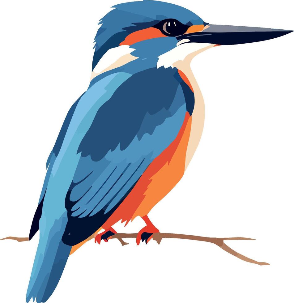 A colorful bird sitting on a branch vector