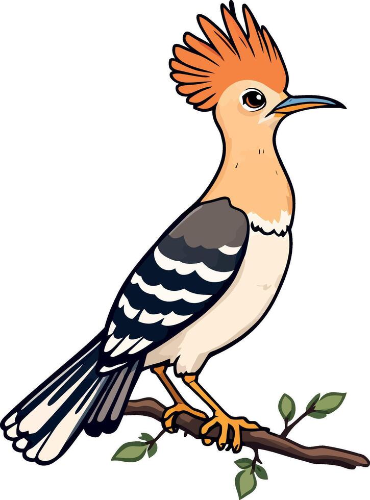 Hoopoe bird cartoon vector