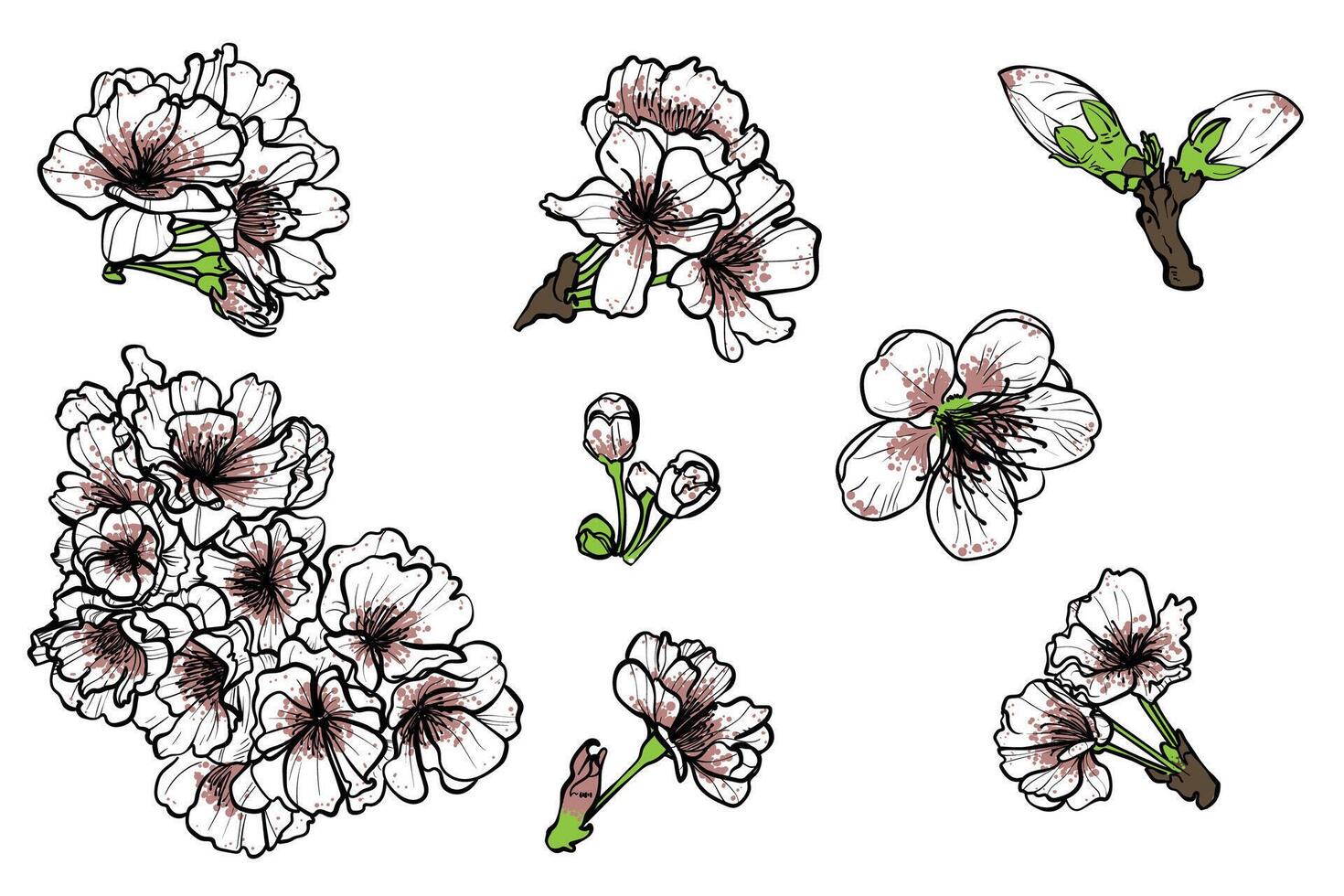 Hand drawn white and pink cherry blossoms blooms. Elegant spring flowers for print and online design projects. These assets are ready to use, easy to edit. vector