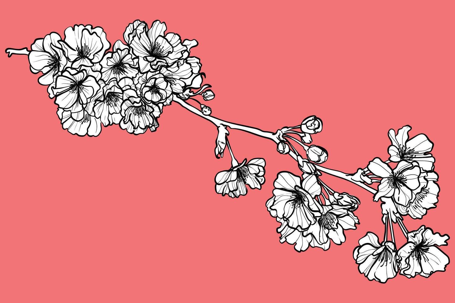 Elegant cherry blossoms hand drawn for print and online design projects. Black outline, white fill on separate groups. These assets are ready to use, easy to edit. vector
